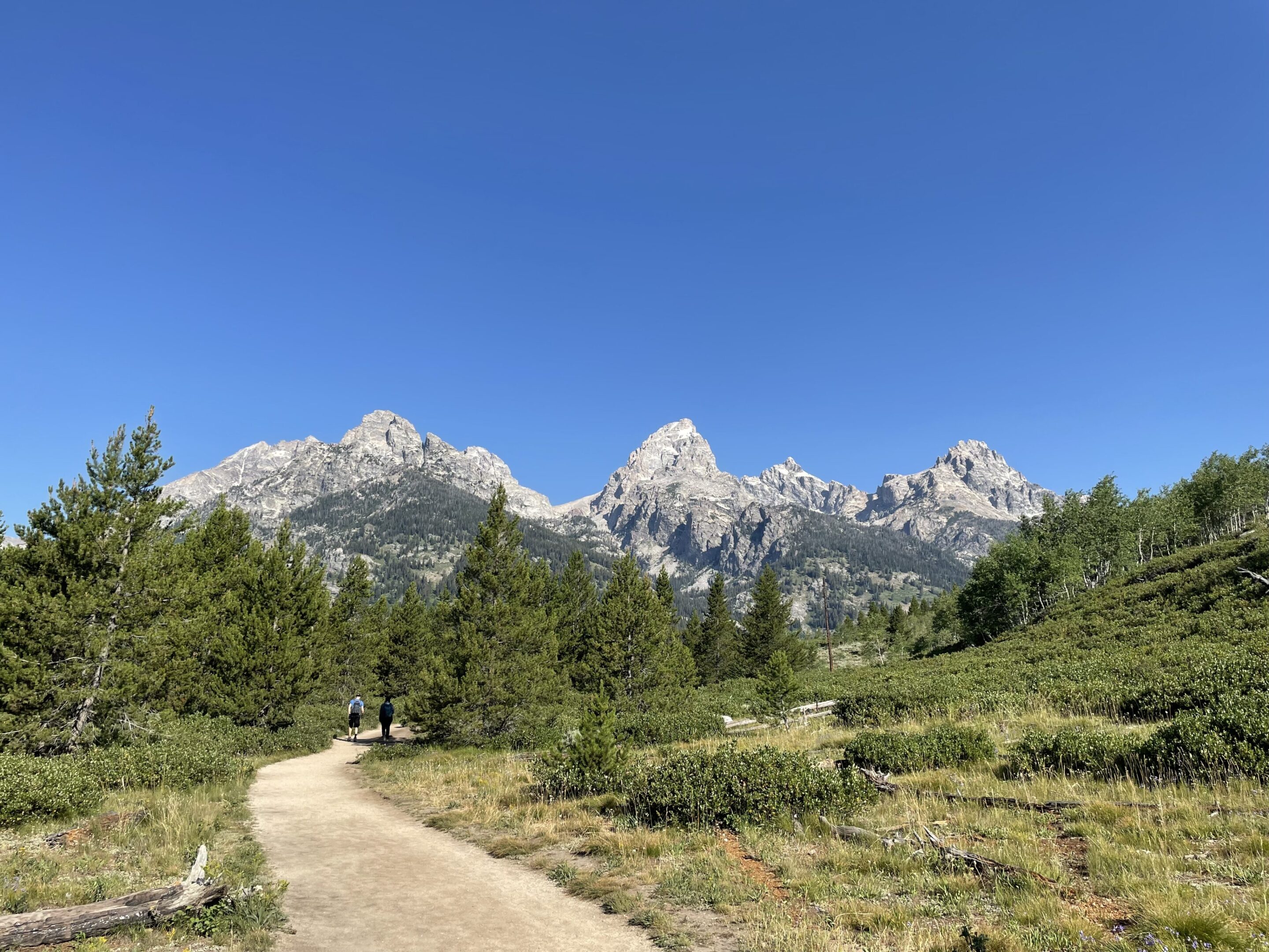 A trail in the middle of a field with mountains behind it.