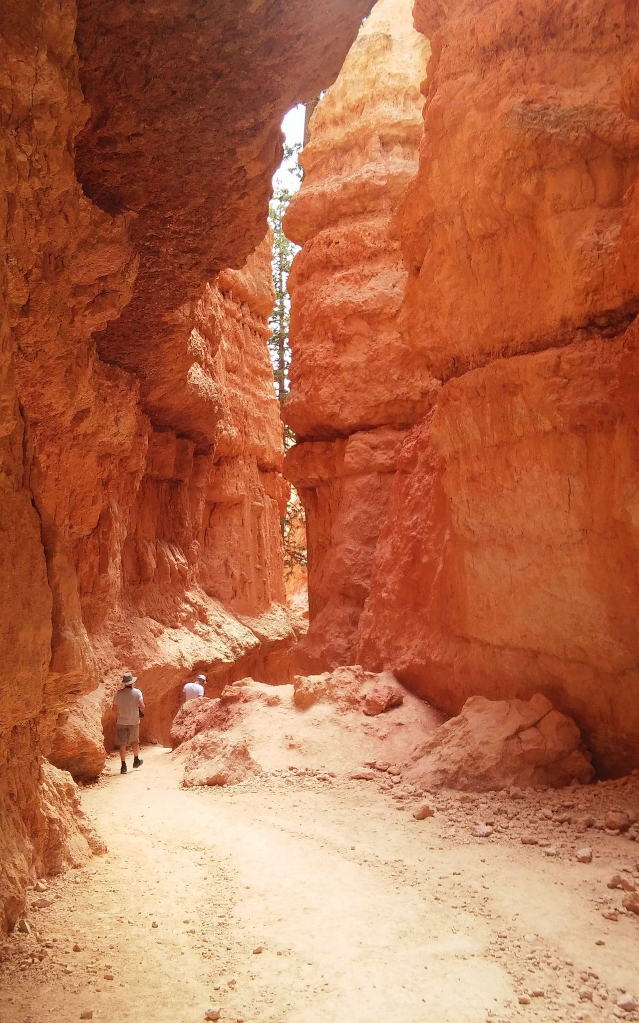 A person standing in the middle of a canyon.